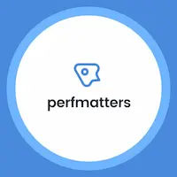 Perfmatters افزونه پرفمترز